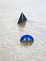 Hochwasser (82)